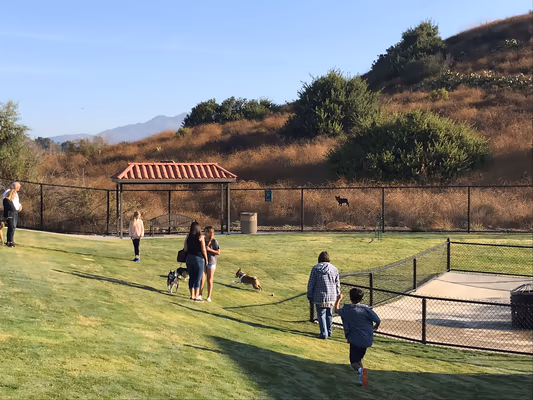 Vista Dog Park